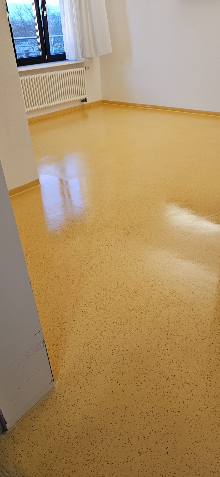 Linoleumboden in einem Büroraum in Pforzheim – nach der Reinigung